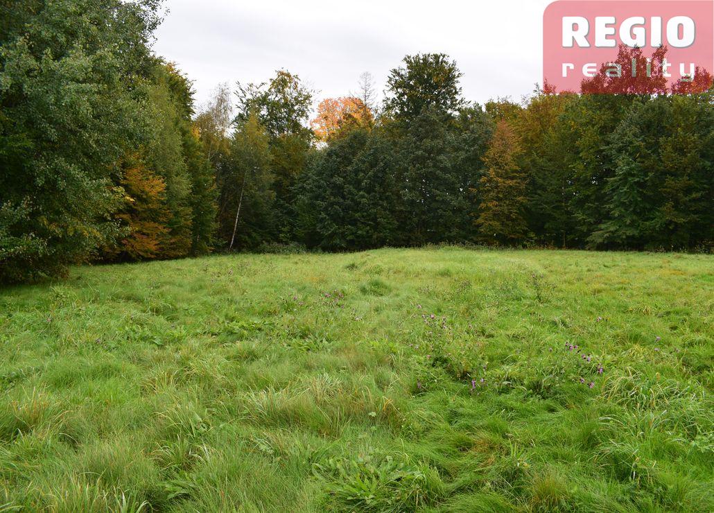 Prodej stavebního pozemku s lesem 3332m2 na Karpentné - 8