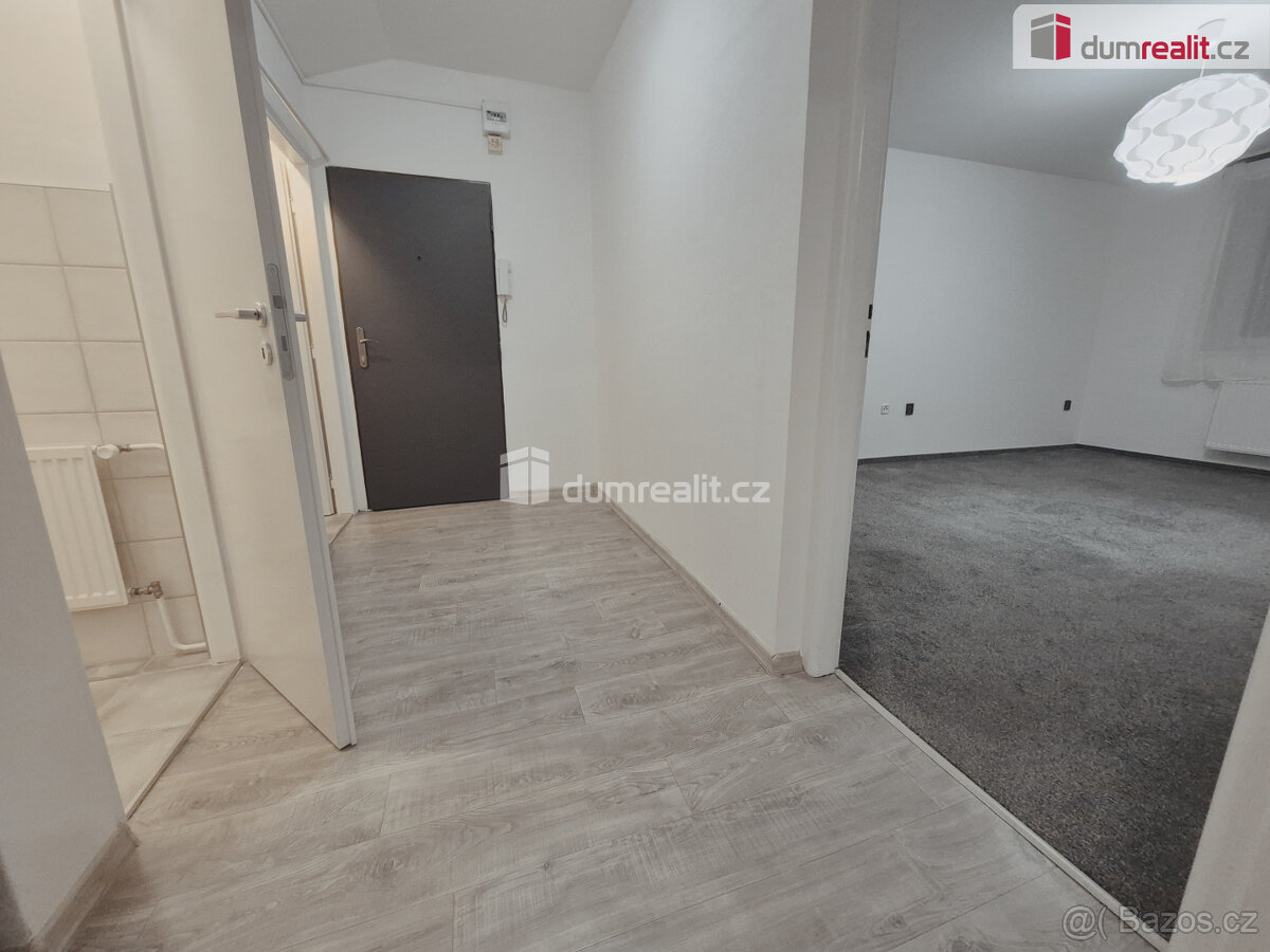 Pronájem bytu 2+1 v Hoštce - Kochovice - 8