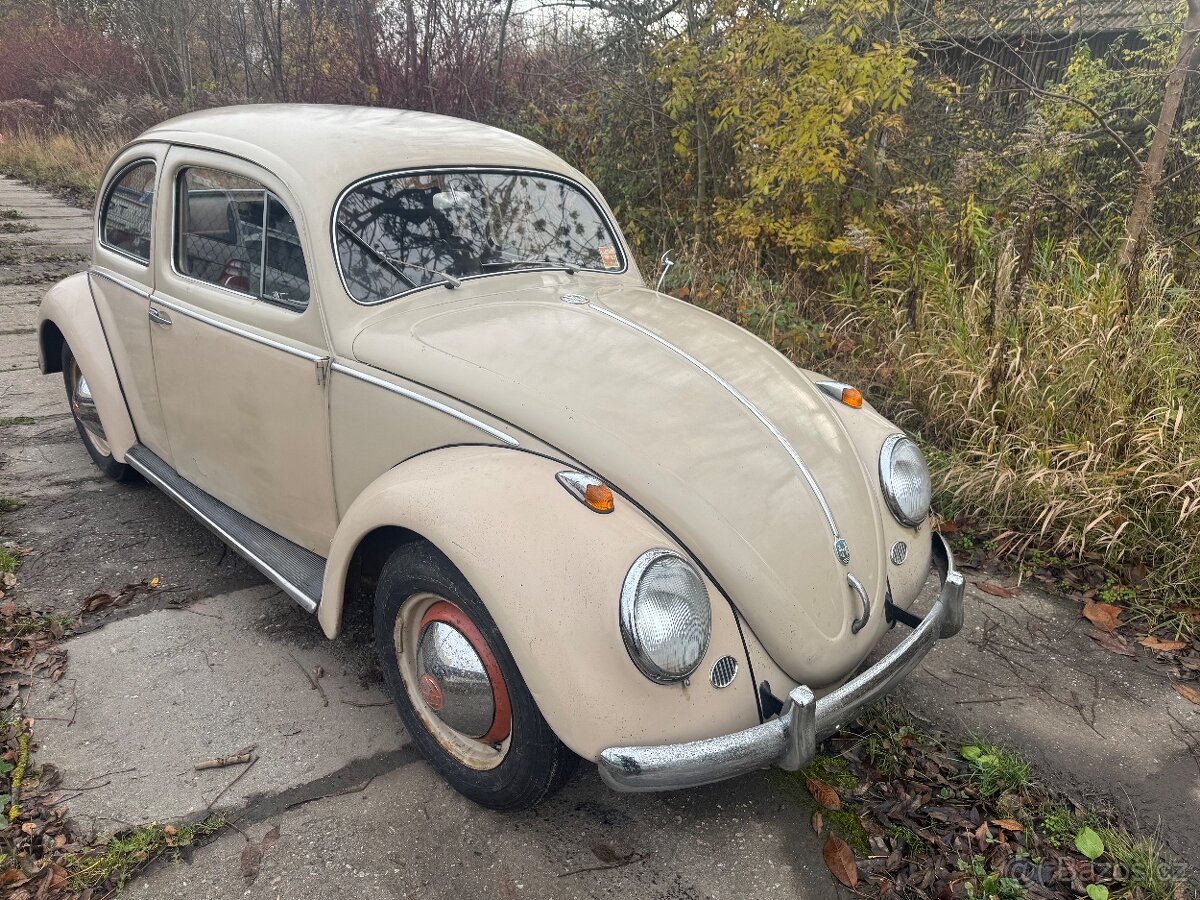 Volkswagen Brouk 1953 - 8