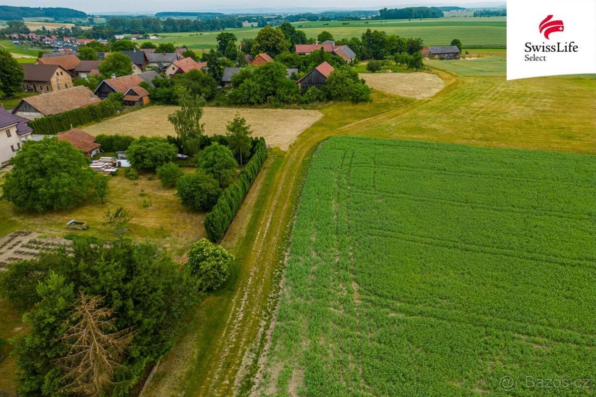 Prodej louky 4531 m2 Ledce - 8