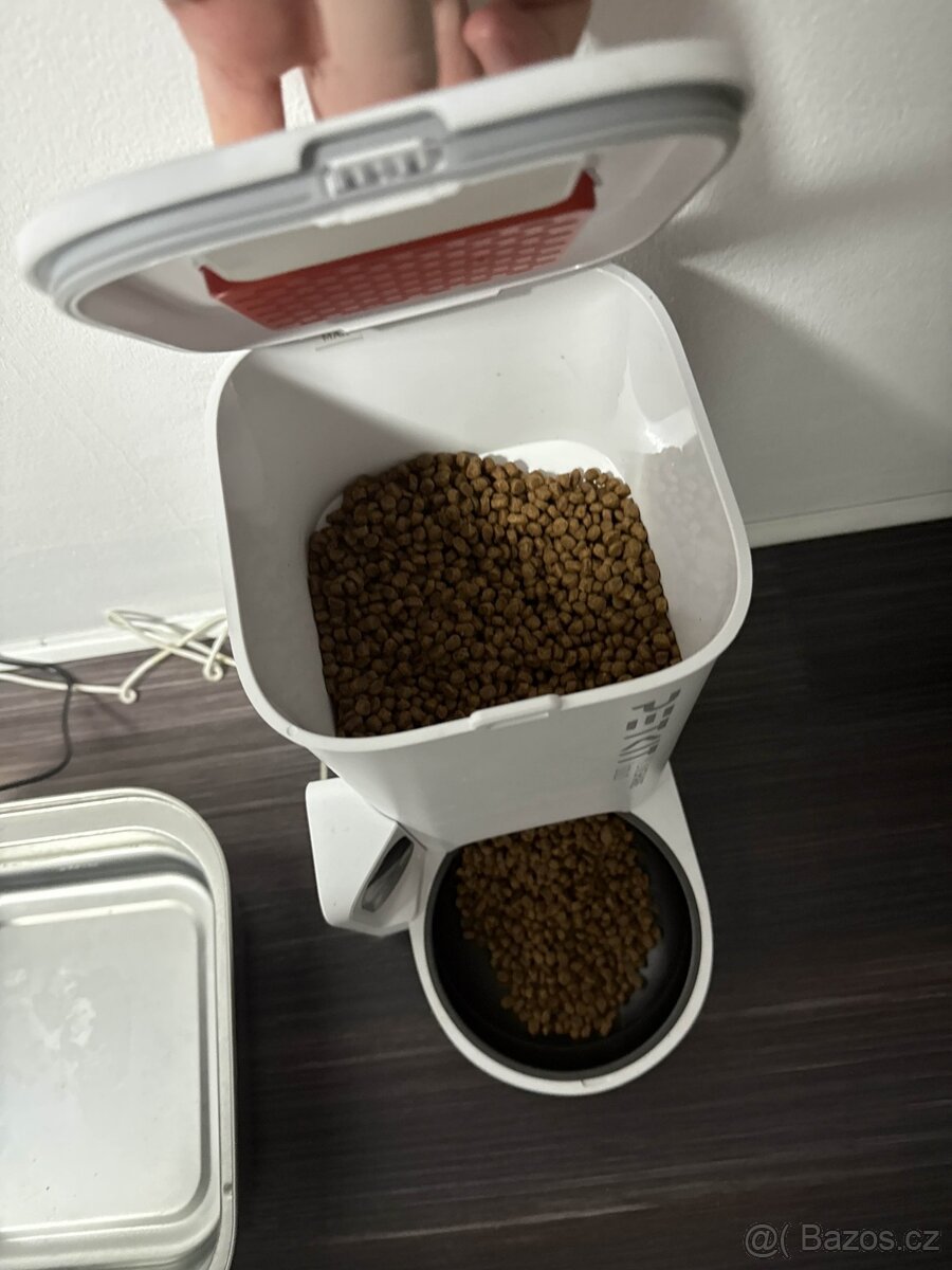 Daruji 2 roky starou kočičku, kastrovaná. + vybavení. - 8