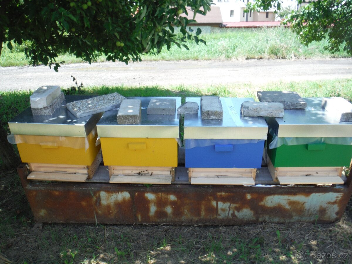 Prodej včelstev i železných stojanů - 8