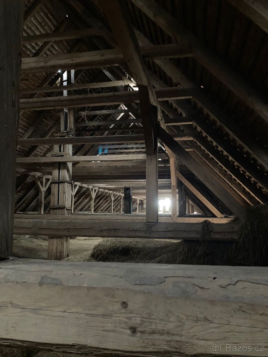 Tramy a demolice starých střech zdarma - 8