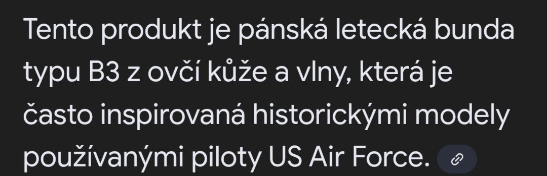 Kožená letecká bunda - 8