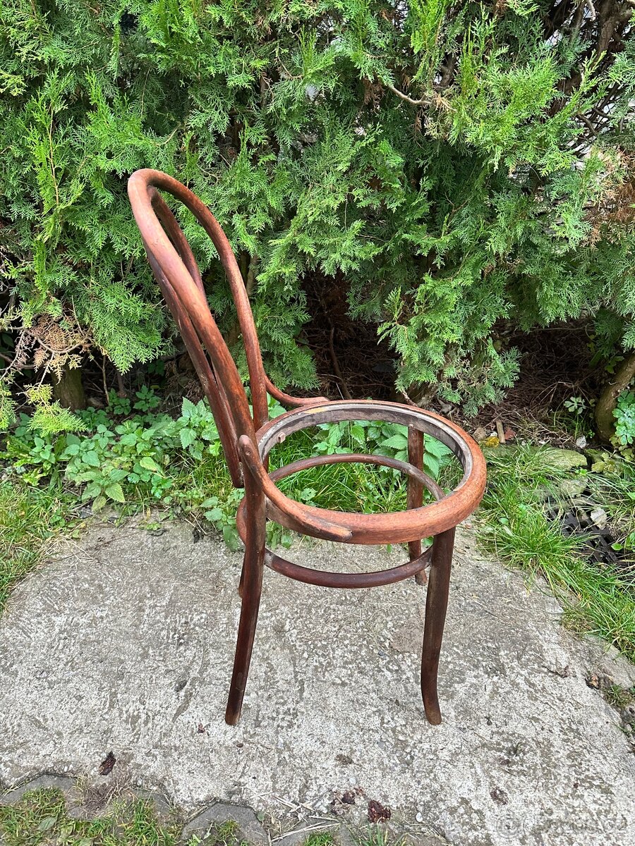 Židle z ohýbaného dřeva - Thonet (2 ks) - 8
