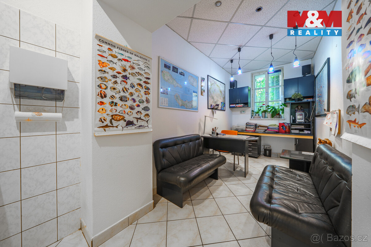 Pronájem nebyt. prostoru, 40 m², K. Vary, ul. T. G. Masaryka - 8