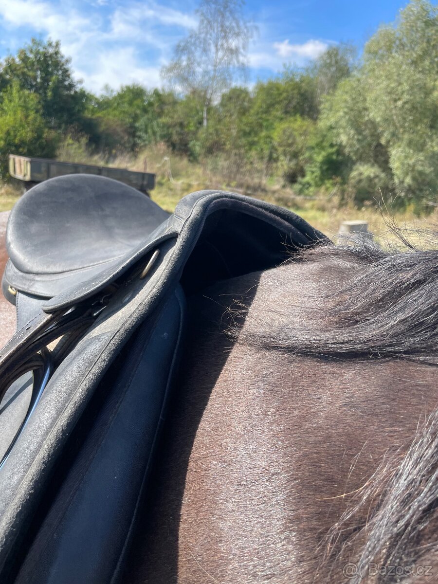 Sedlo wintec 2000 - 8