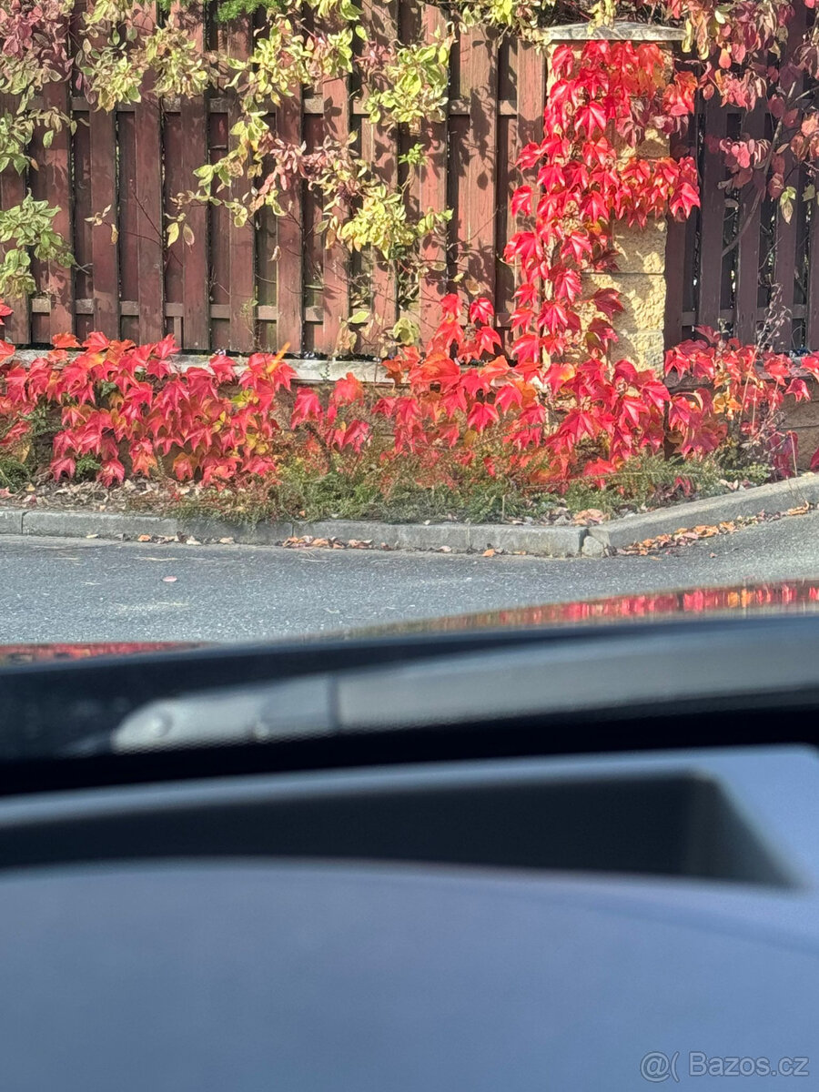 BMW 550i GT, V8 M-POWER, originál M. - 8