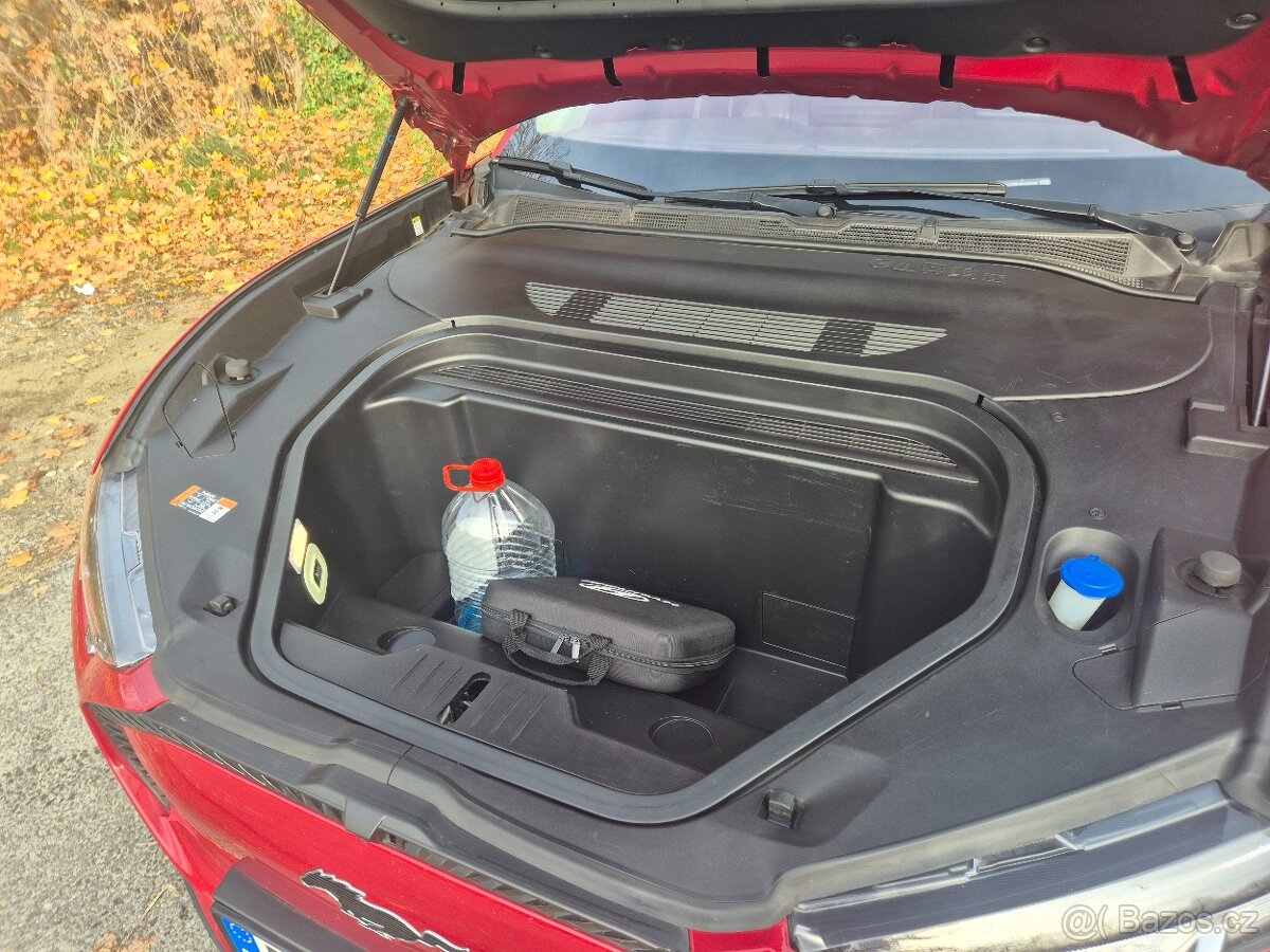 Ford mustang mach-e - 8