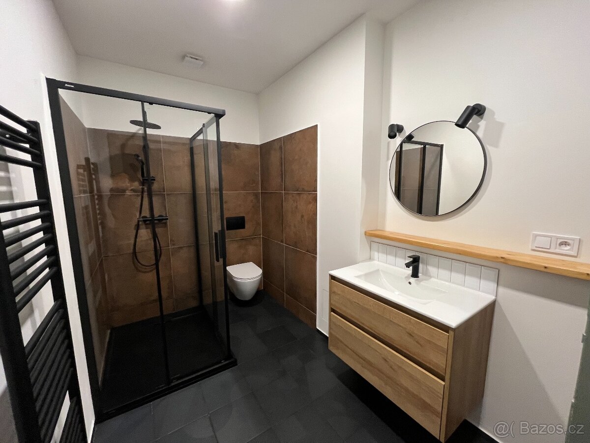 Pronájem bytu 2+1, Plzeň-Bory - 8