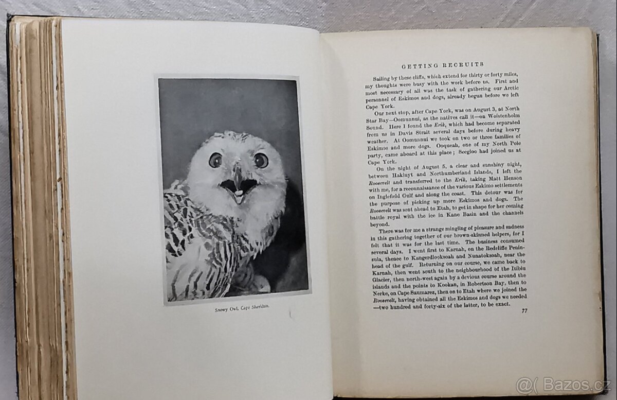 Robert E. Peary - The North Pole - 1910 - 8