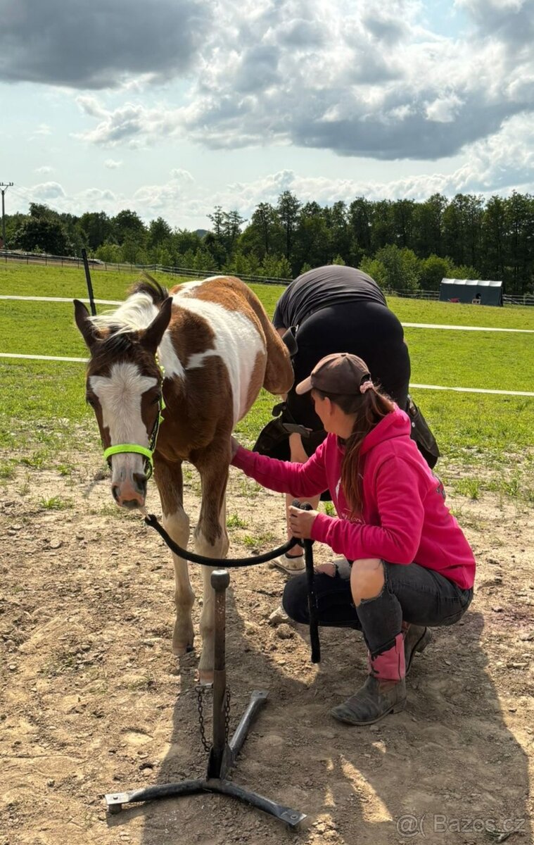 APH hřebeček s Andělem na hlavě - 8