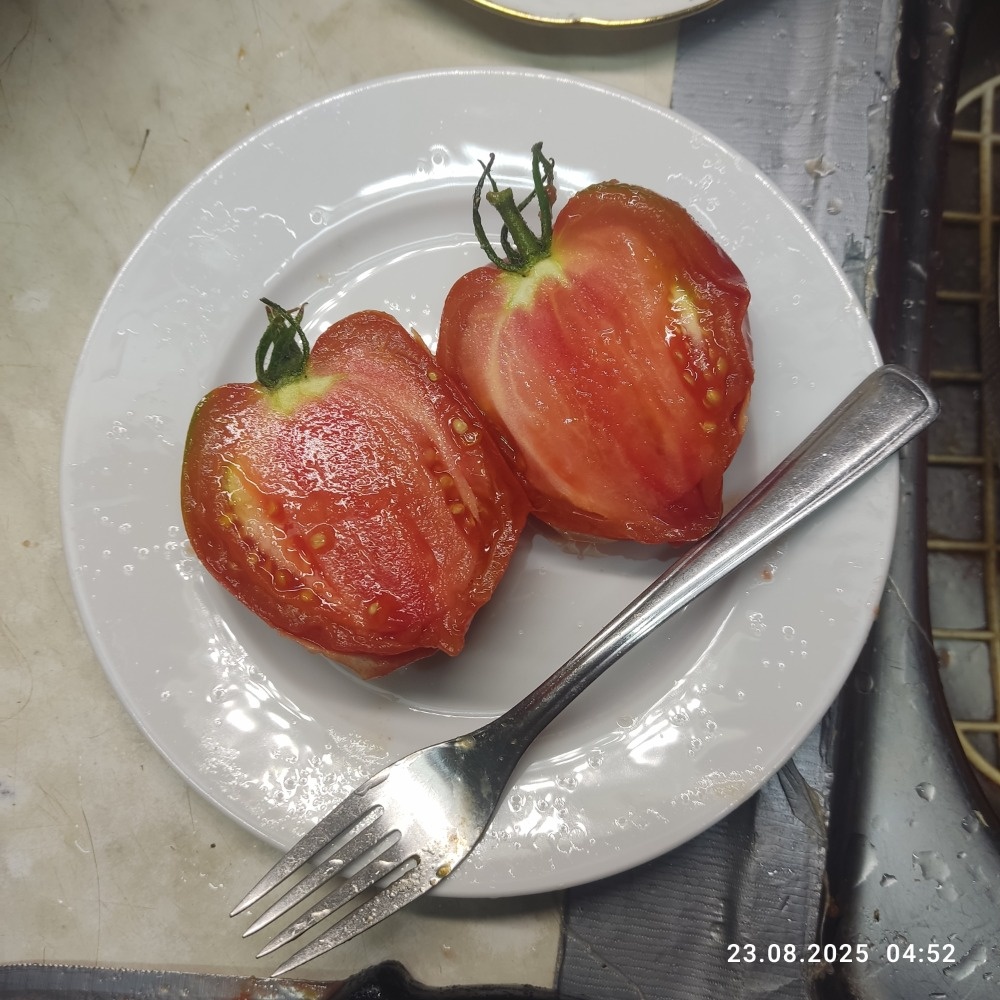 Perma nehybridní semena rajčat - 8