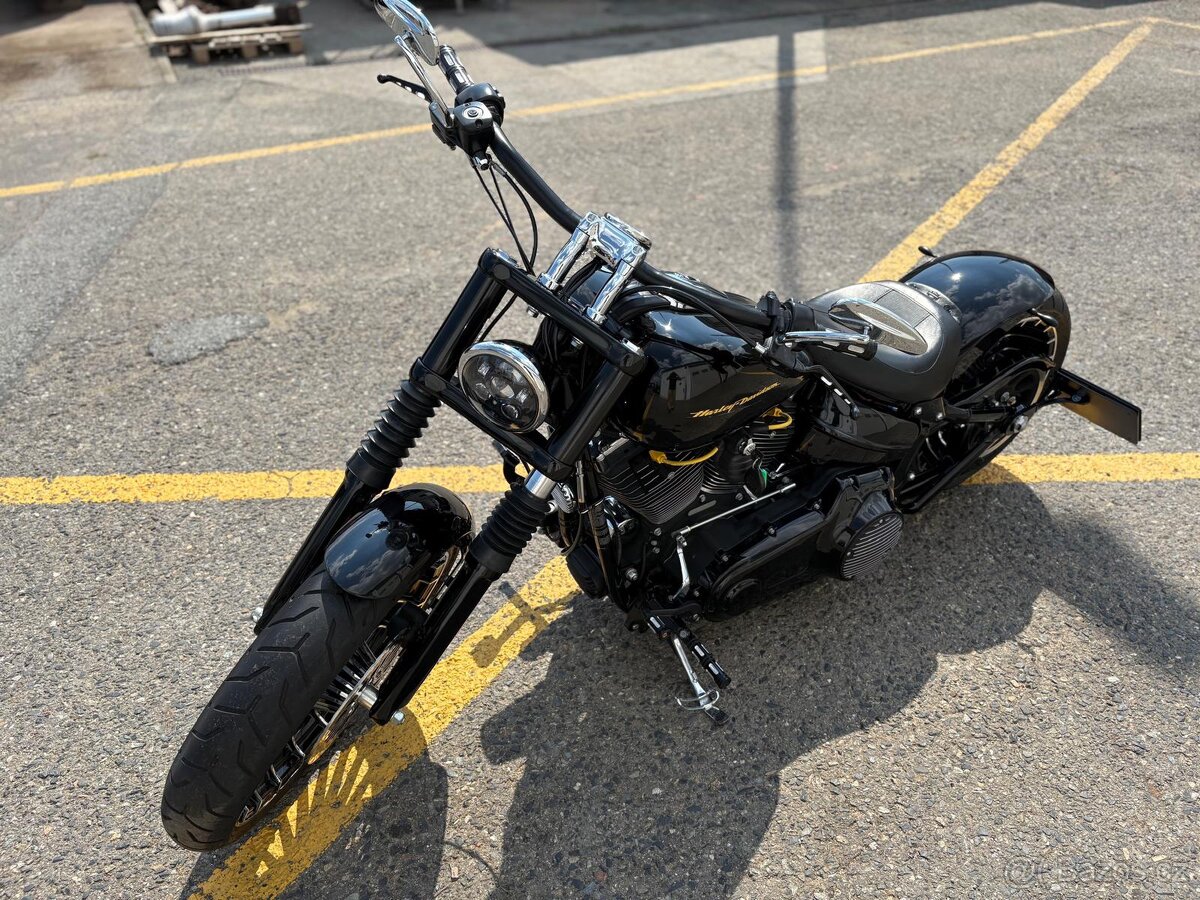 HARLEY-DAVIDSON BREAKOUT - 8