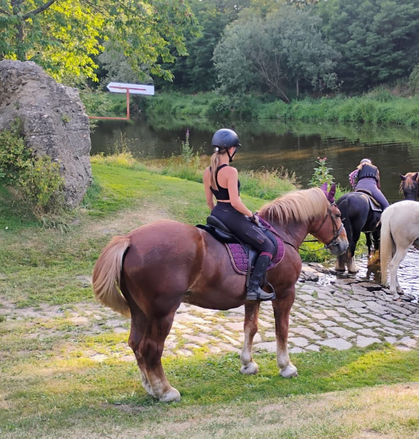 Podsedlová dečka značky kentaur - 8