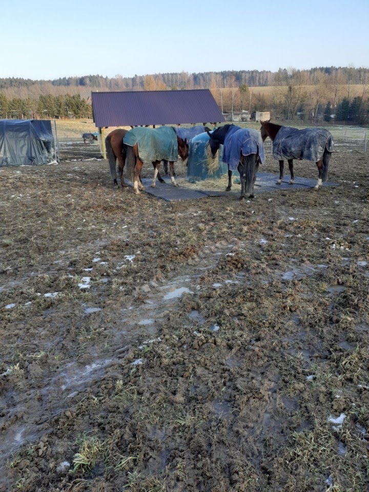 Stájové rohože, do boxů pro koně - sleva 7% - 8