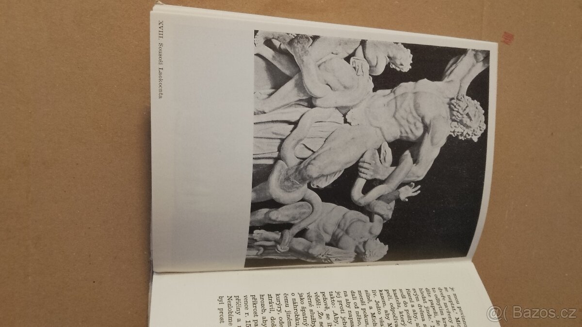 Michelangelo Buonarroti.Život a dilo - 8