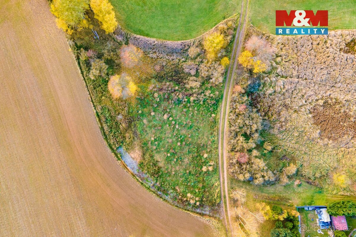 Prodej louky, 672 m², Vysoká Libyně - 8