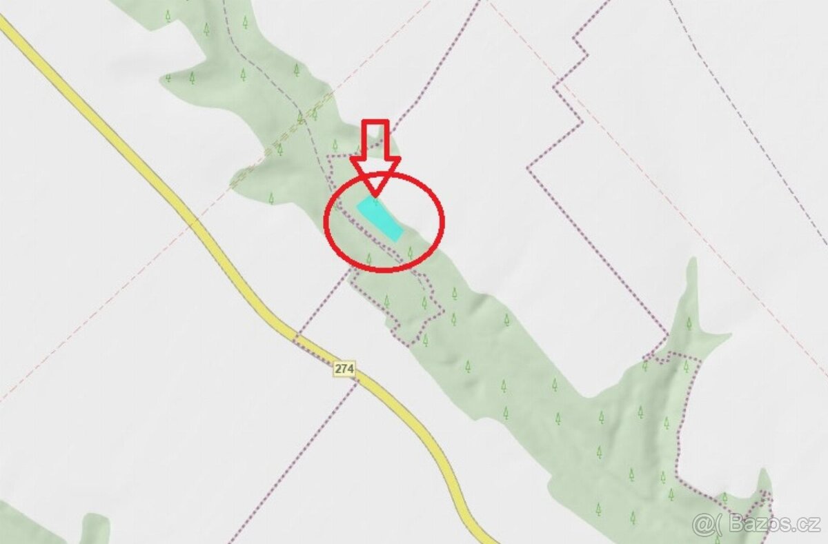 Prodej lesního pozemku v k.ú. Chorušice - 8