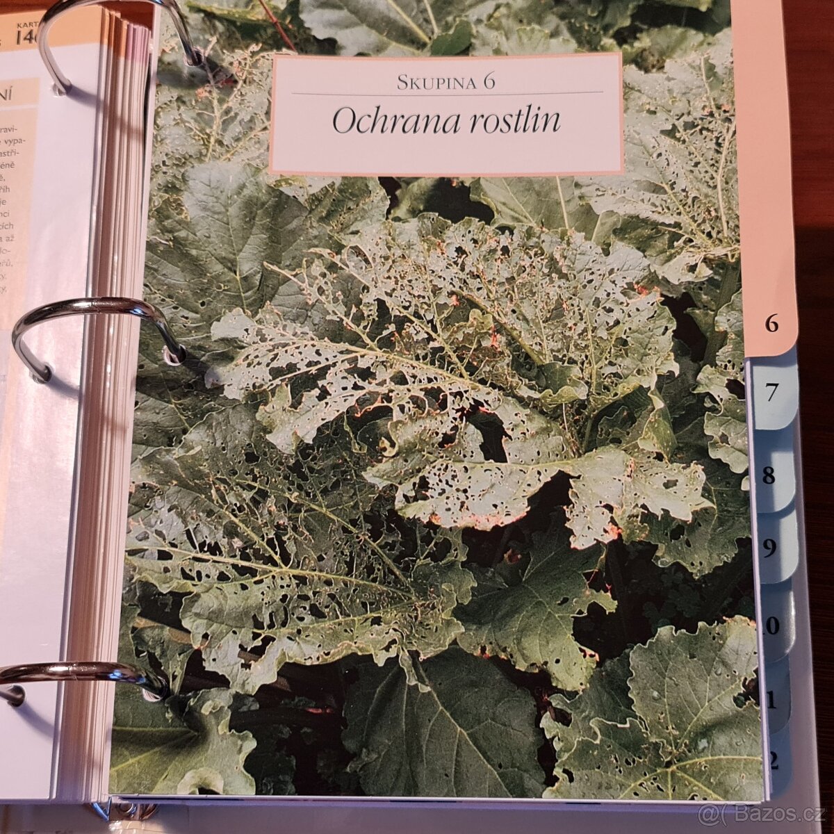 ZAHRADA PRO RADOST - 8