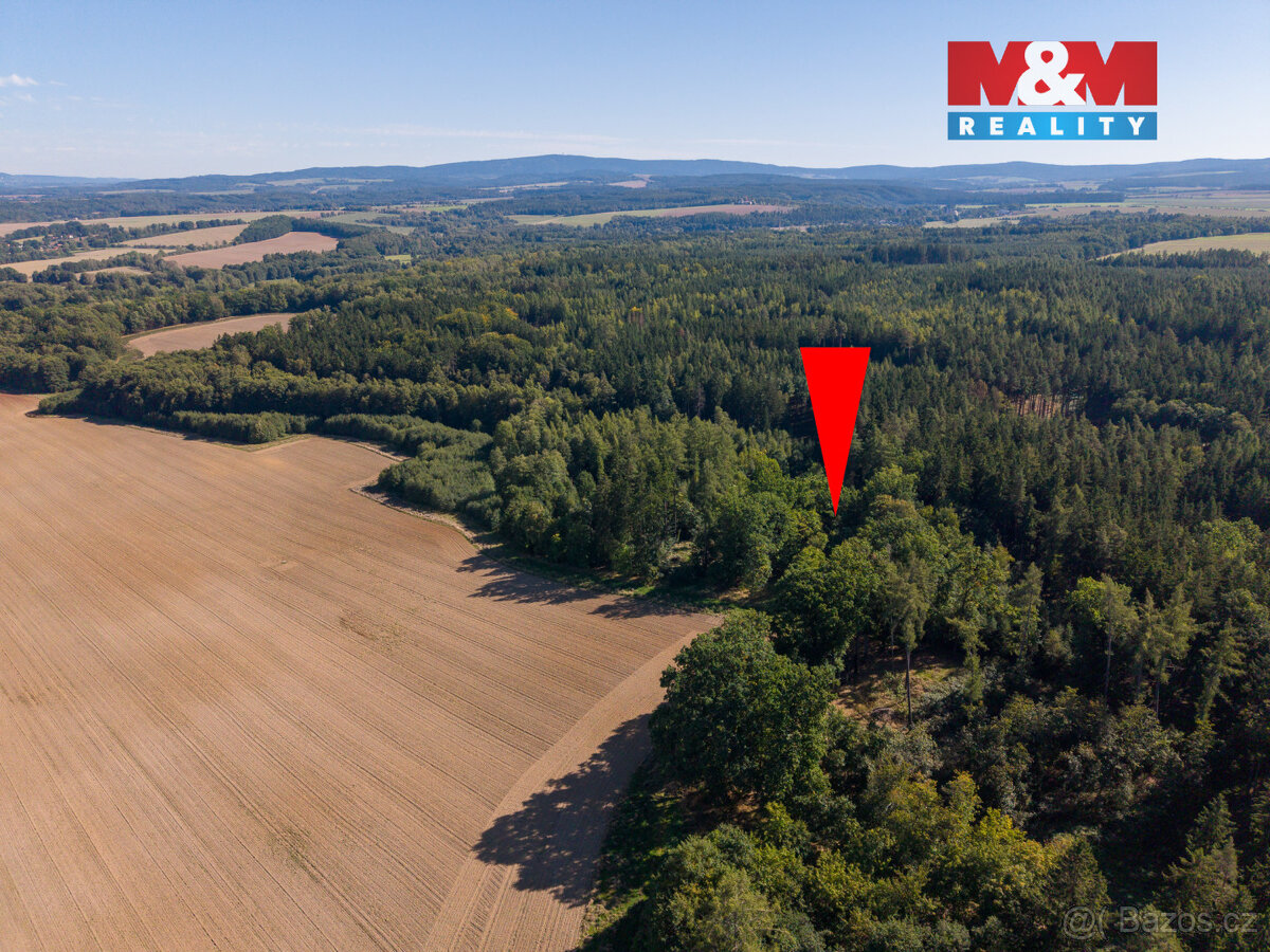 Prodej lesa, 1.757 m², Podhrad, Cheb - 8
