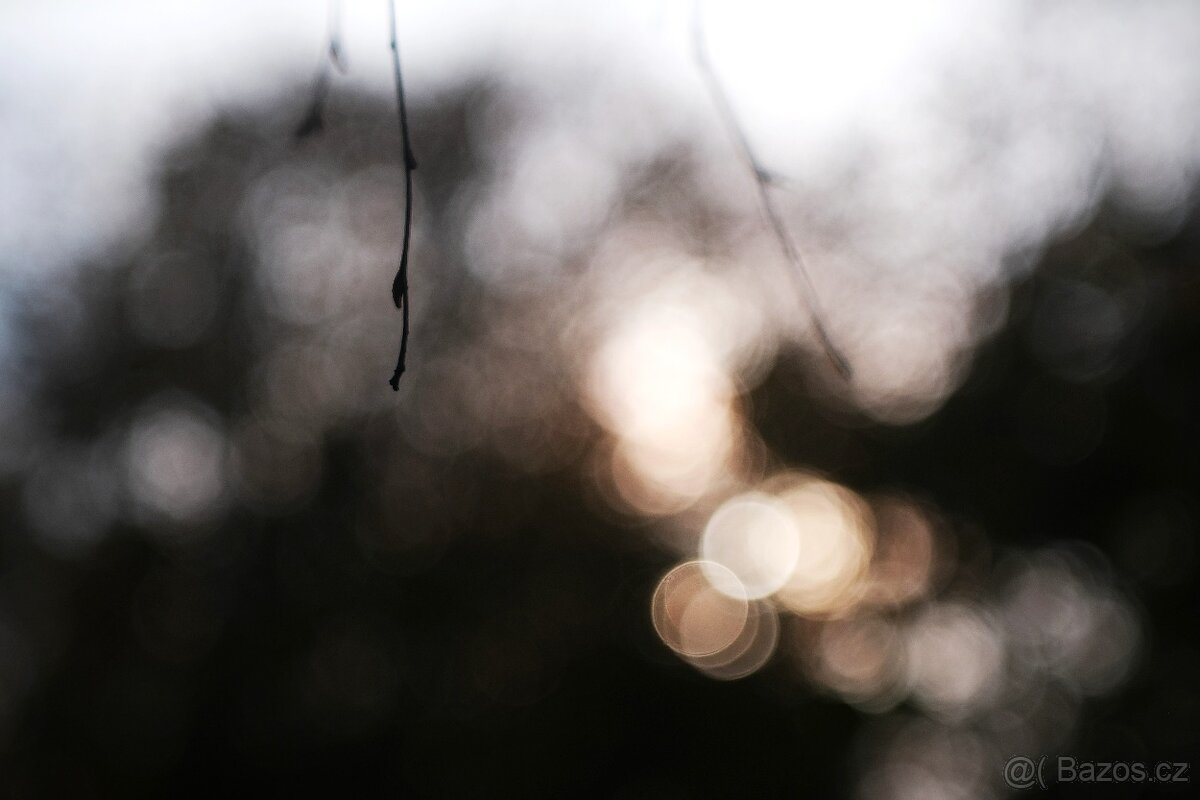 Carl Zeiss Jena Tessar 5cm f/2.8 - (Exa) - 8