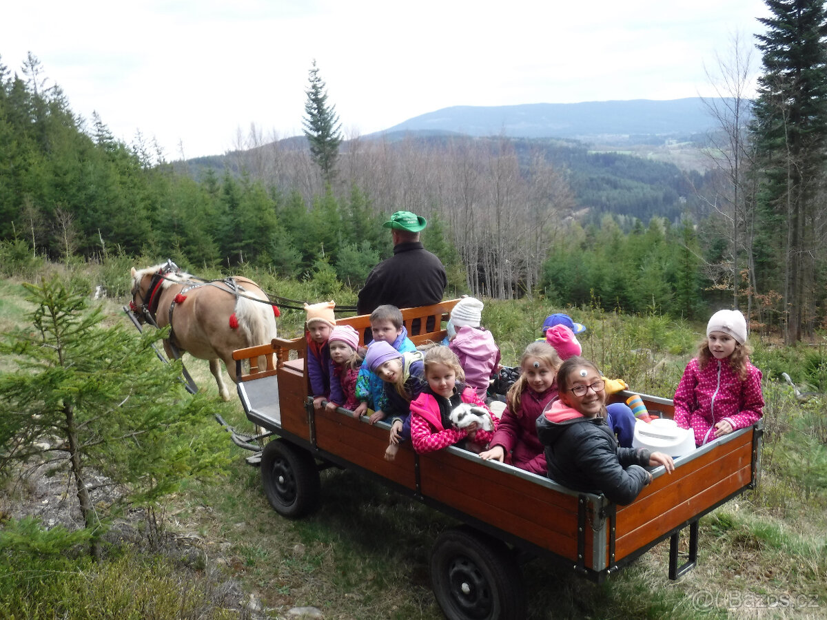 SÁNĚ A VŮZ ZA KONĚ - prodám - 8