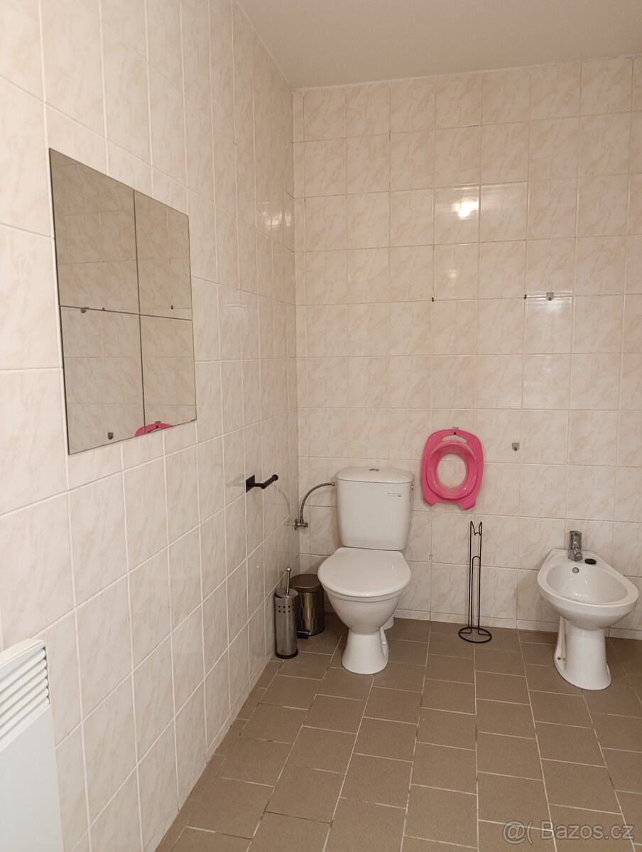 Pronajmu byt 3+1 v Broumově - 8