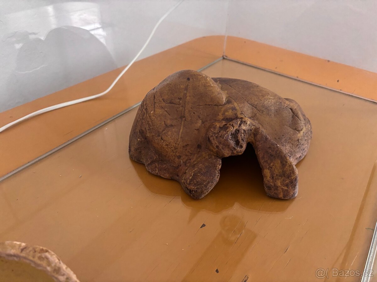 Terárium 80x40x50 - 8