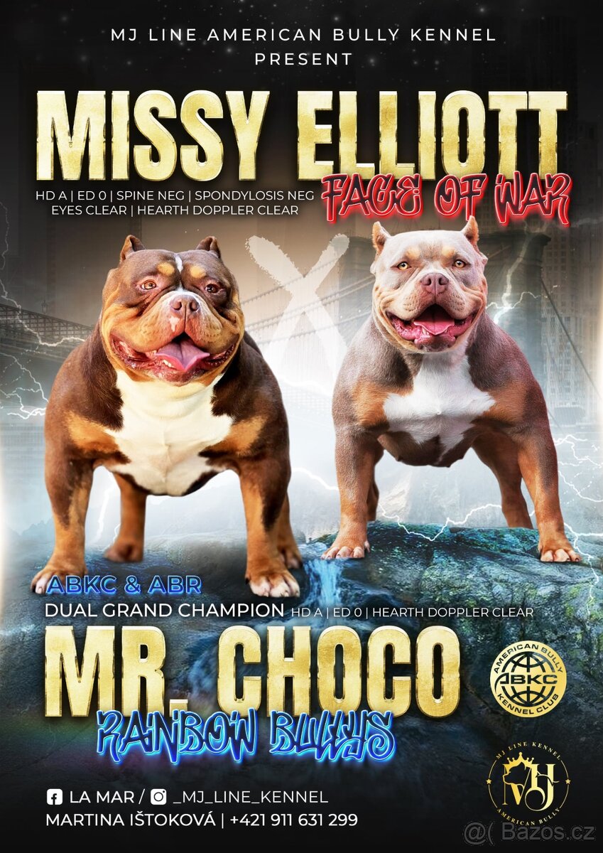 American bully s PP - 8