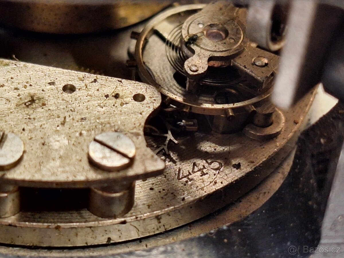 8 denní autohodiny - 8