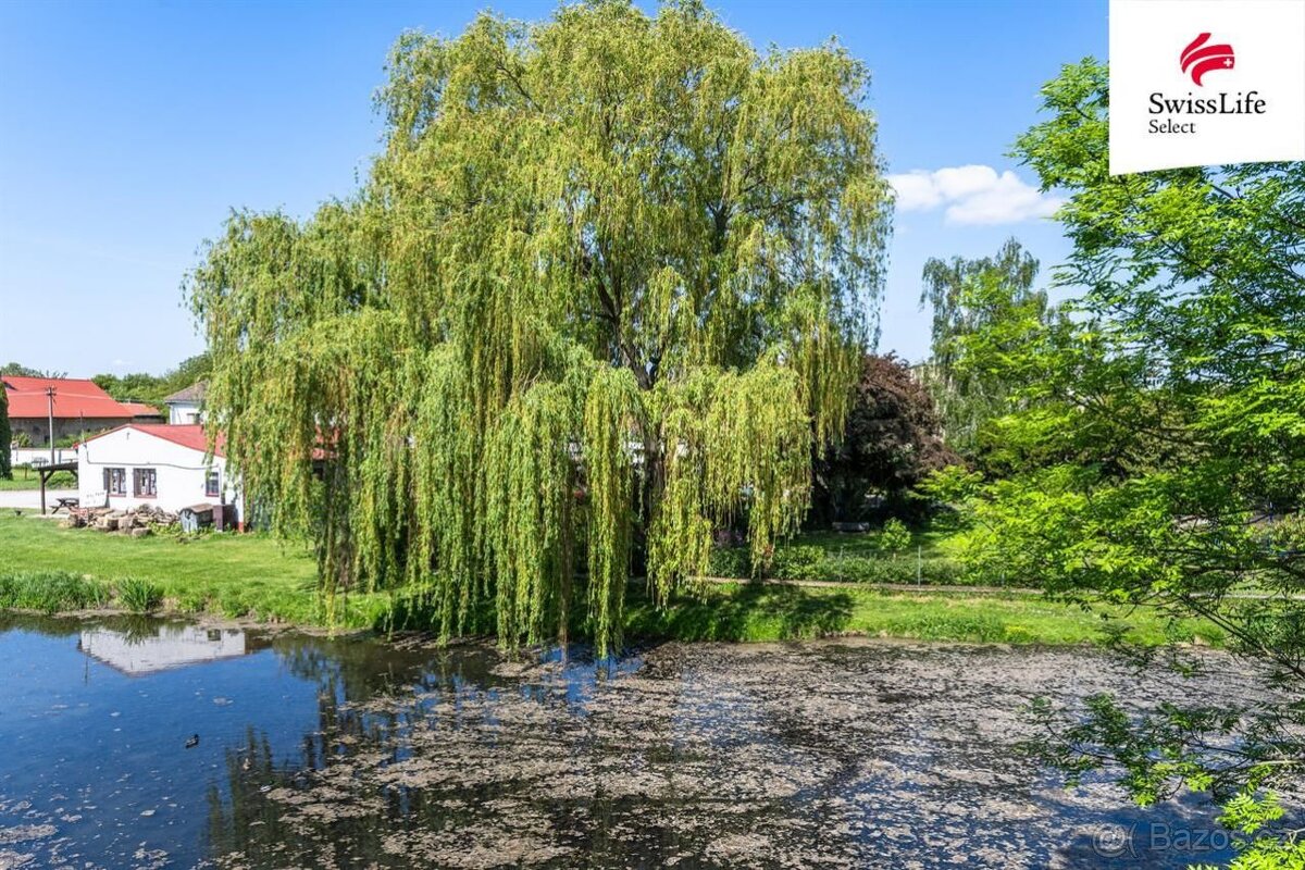 Prodej bytu 3+kk 74 m2, Břežany II - 8