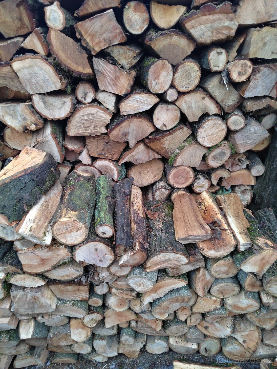Tvrdé palivové dřevo. - 8
