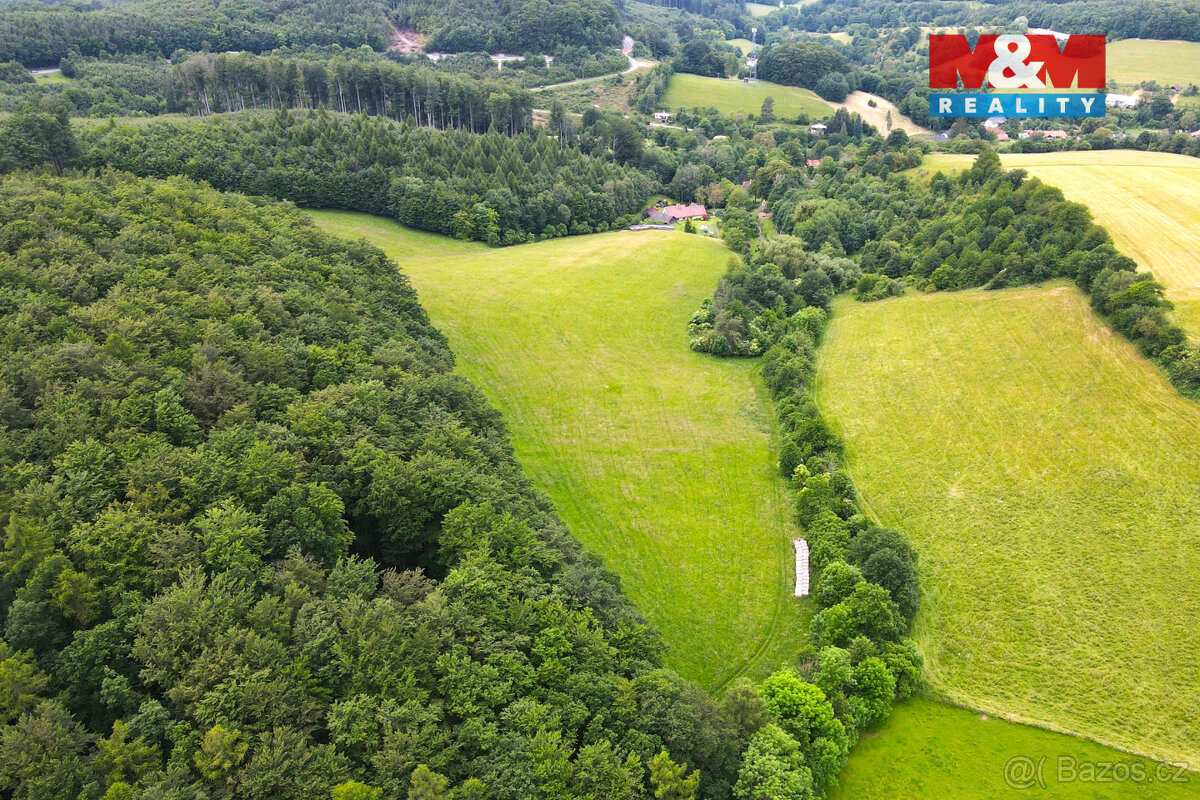 Prodej louky, 11031 m², Staré Hutě - 8