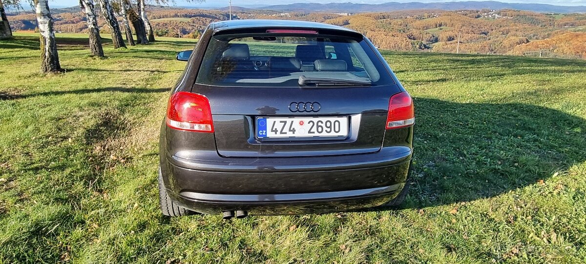 AUDI A3 8P 1.9 TDI 77kw - 8