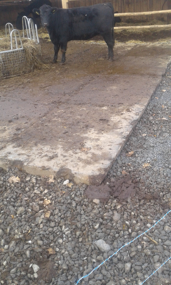 Pražce betonové na stavbu parkoviště terasy pod kontejner - 8