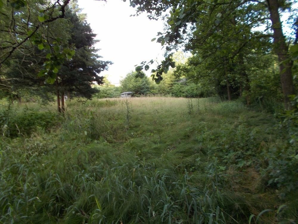 Prodej louky 3266 m² - 8