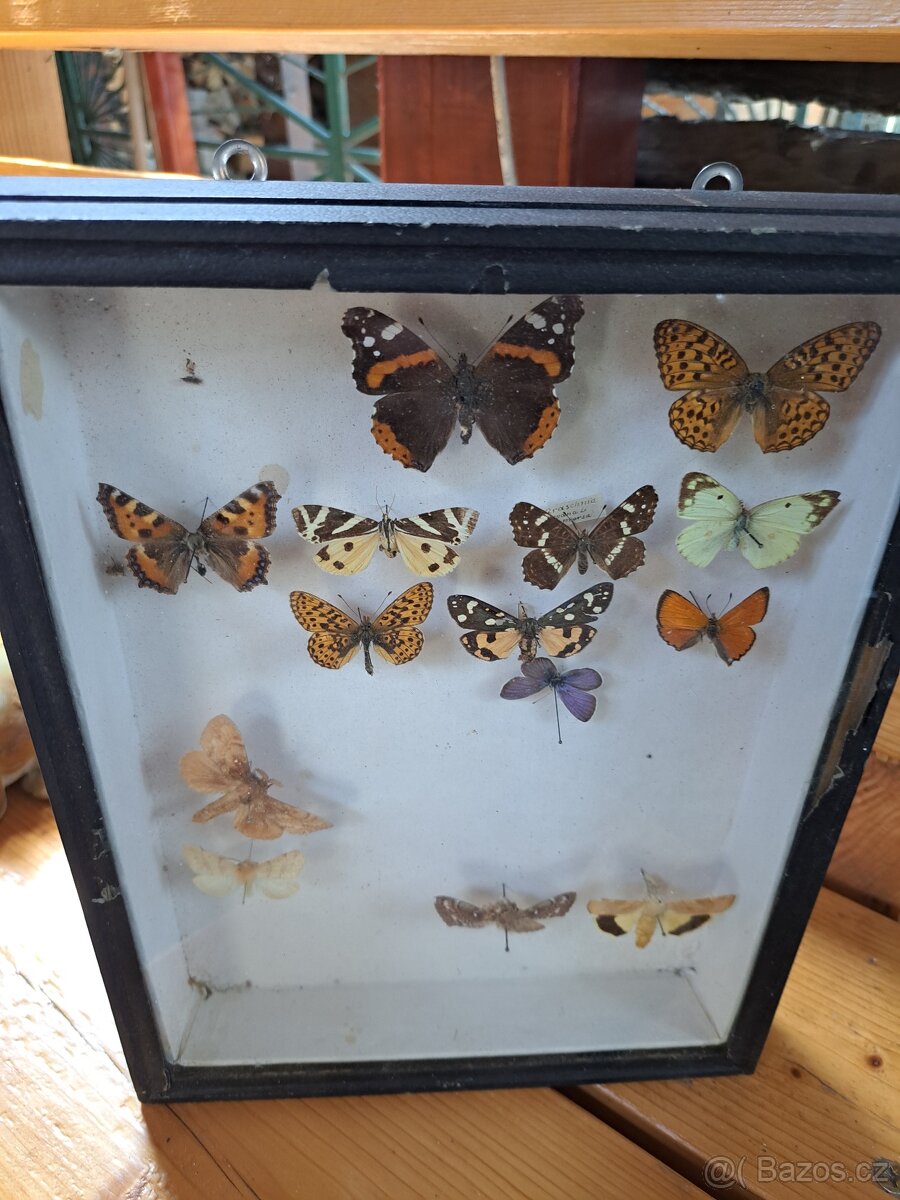 Zbierka M O T Ý Ľ O V. - 8