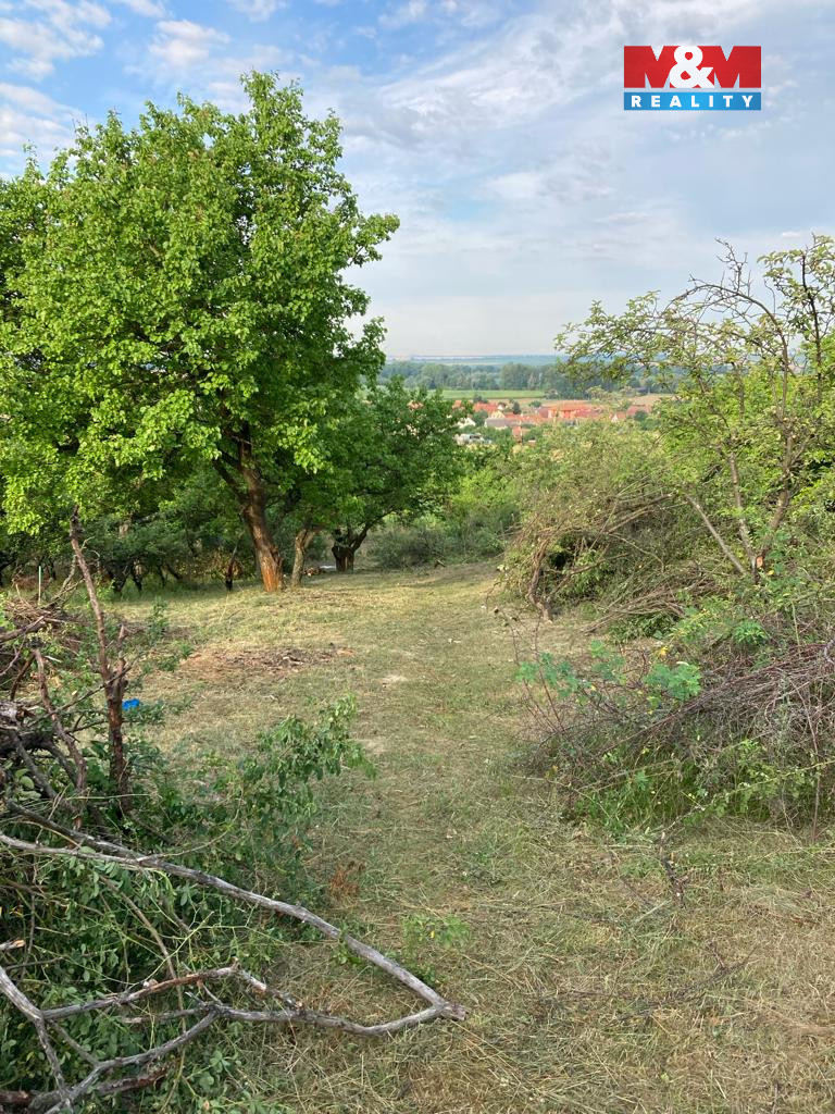 SLEVA Prodej maringotky, 15 m², Pohořelice - 8