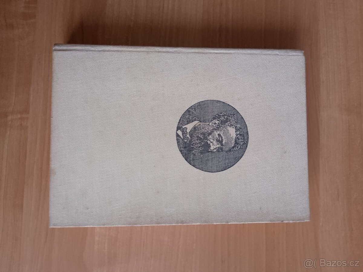 Romány Julese Verna - 8