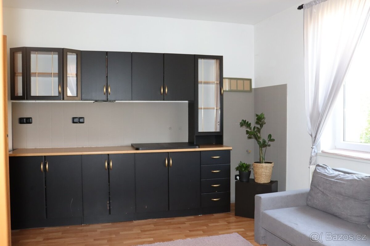 RD 4+1 Prušánky se zahradou,838m2. - 8