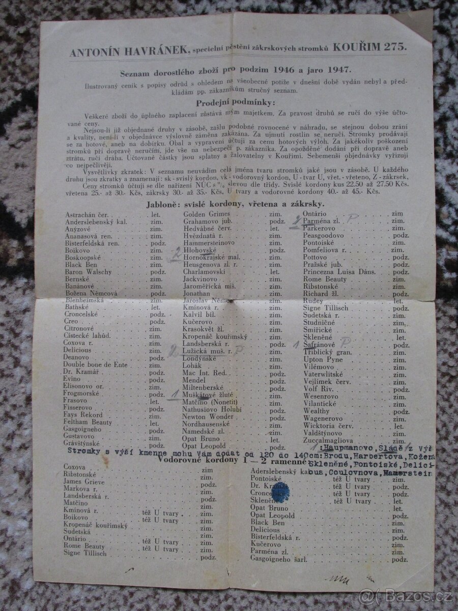 OVOCNÉ STROMY - CO MÁ KAŽDÝ VĚDĚTI - 8