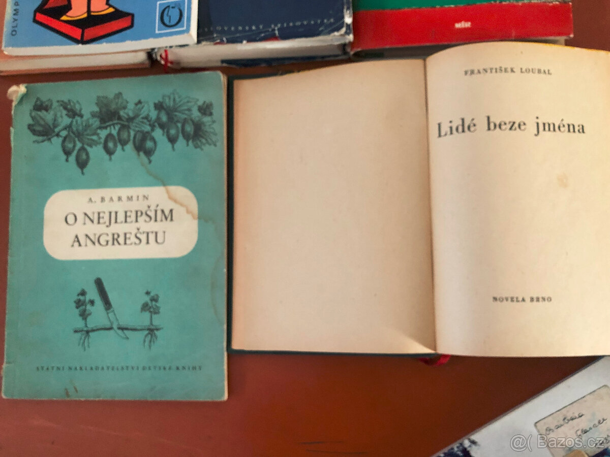 Velmi staré knihy - různé - 8