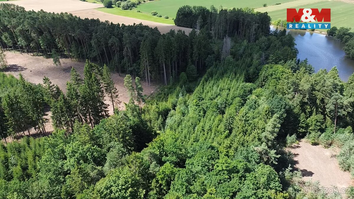 Prodej lesa, 5323 m², Opařany - 8