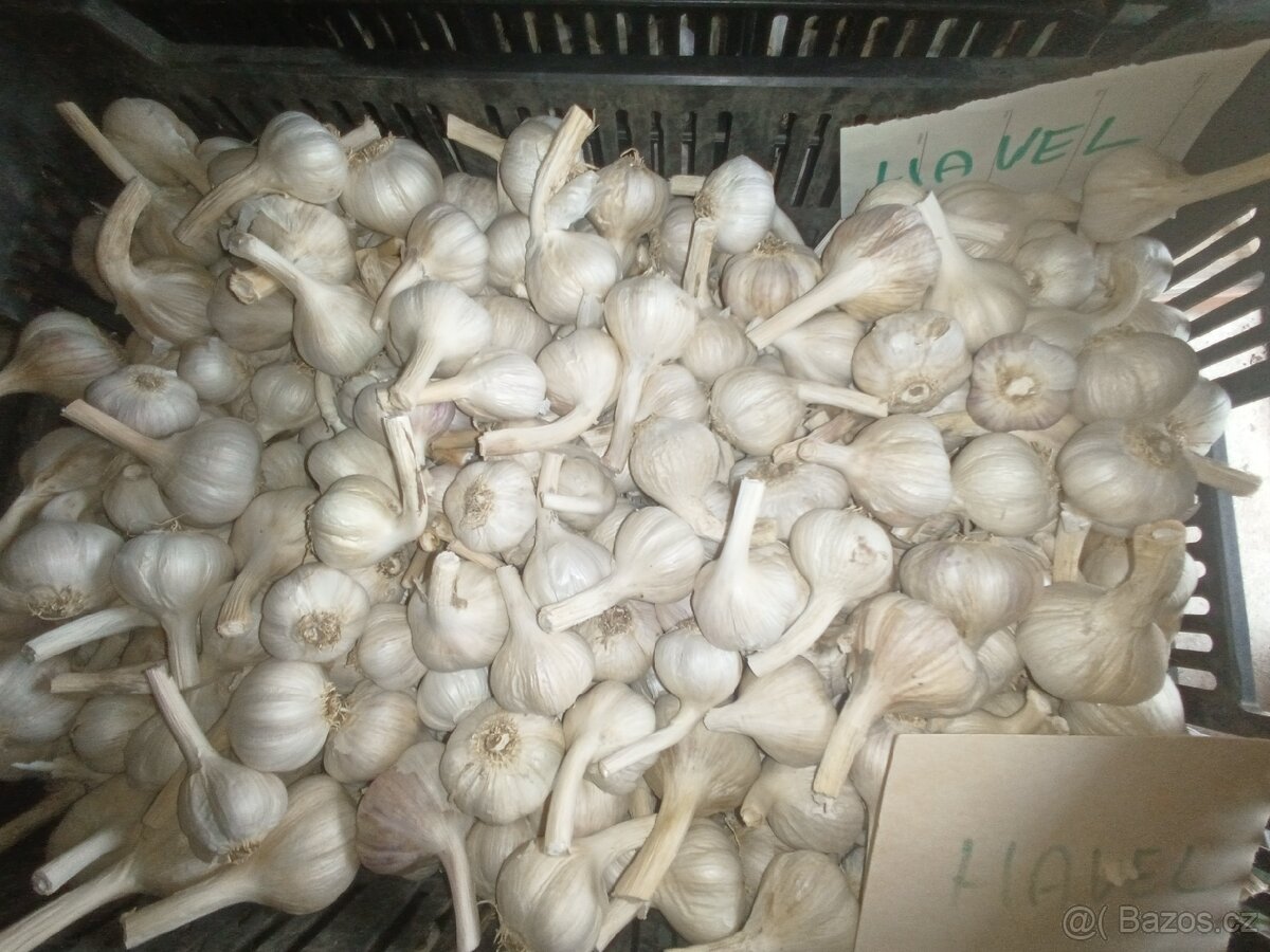 Brambory česnek - 8