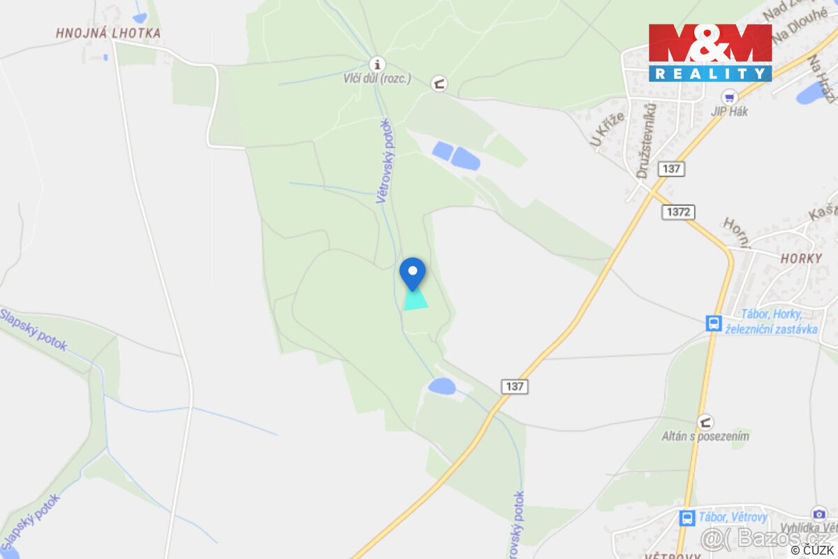 Prodej lesa, 5139 m², Tábor - 8