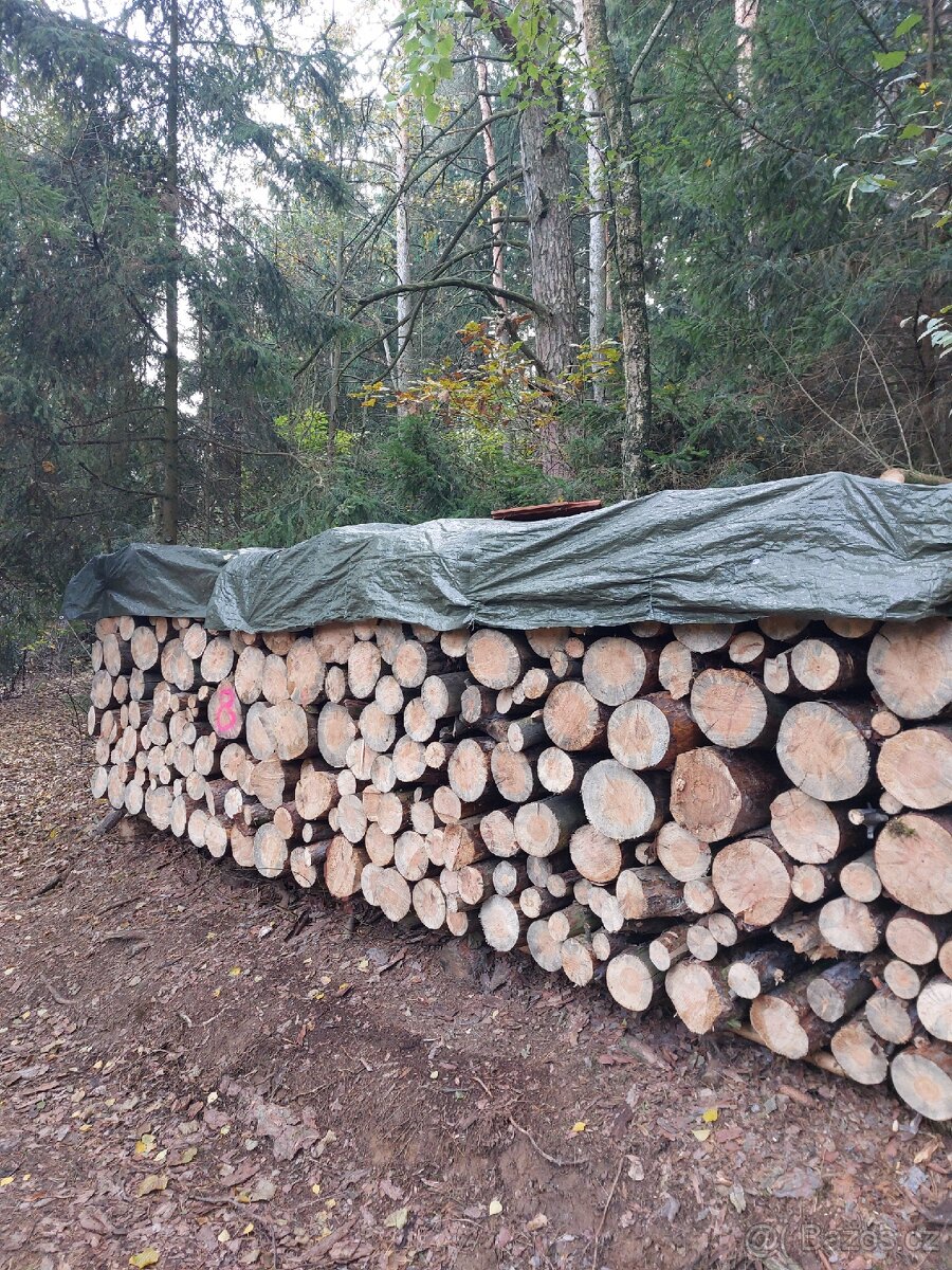 Palivové dřevo "suché" - 8