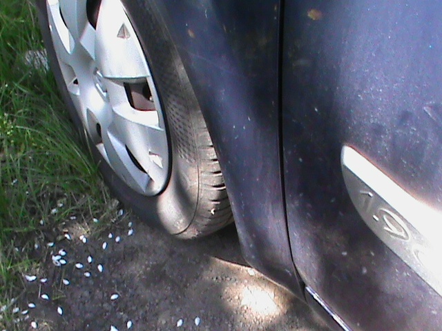 renault scenic - 8