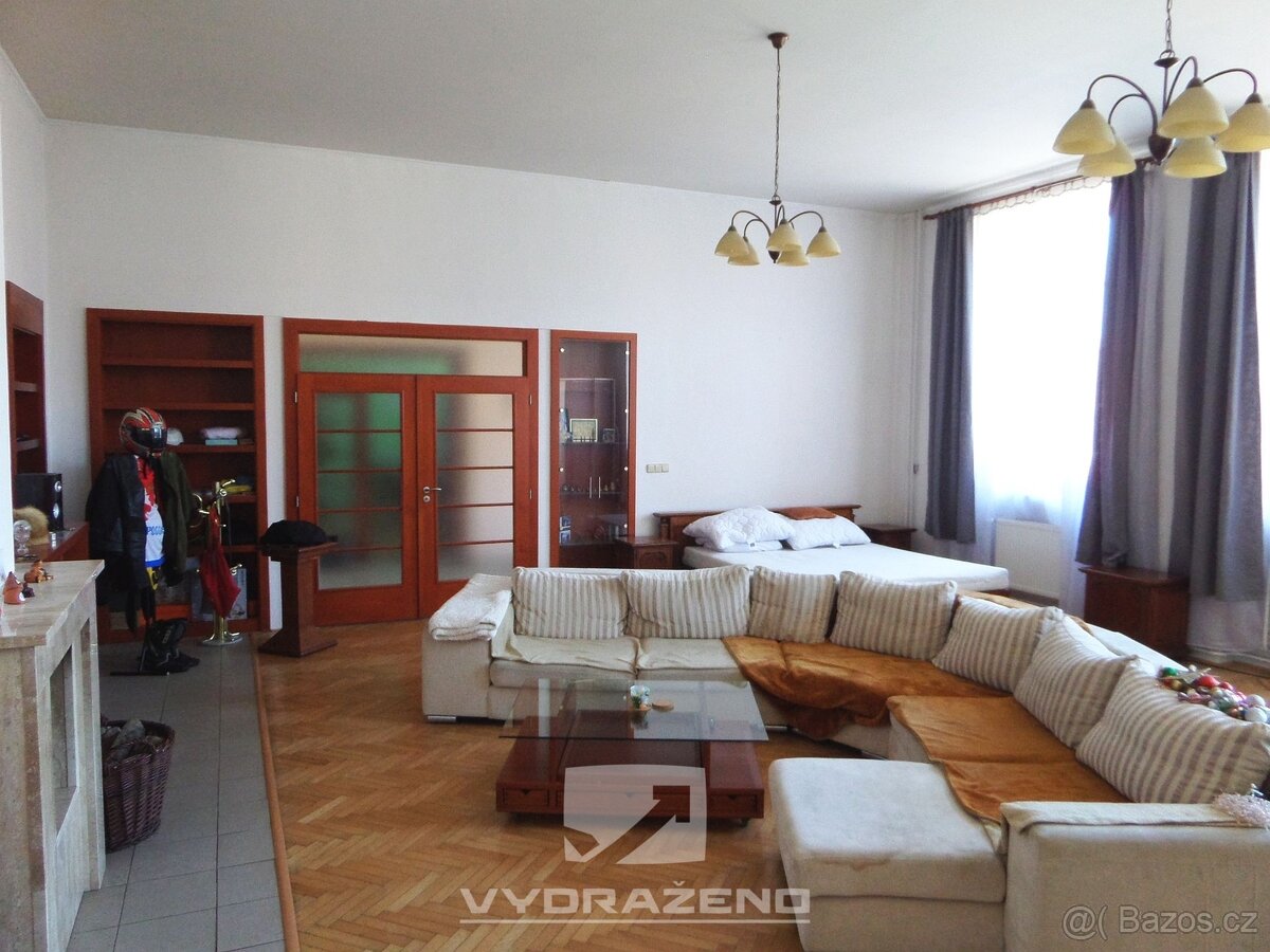 Dvoupodlažní dům (cca 400 m2), pozemky 1.130 m2. Dolní Kouni - 8