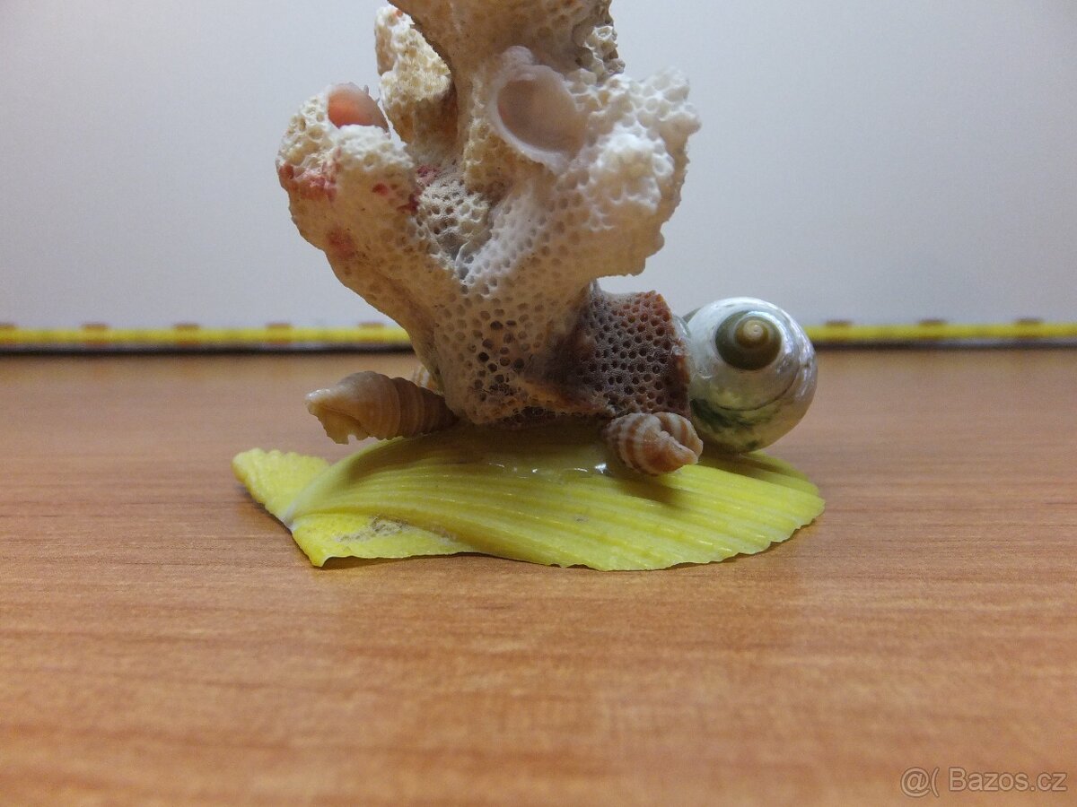 Retro dekorace s pravého mořského korálu a mušlí. - 8